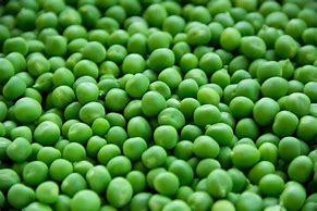 Image result for Actual Size Pea