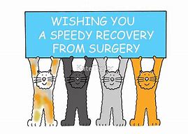 Image result for Desease Recovery Cartoon