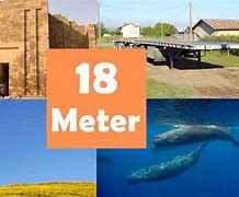 Image result for 18 Meters Movie