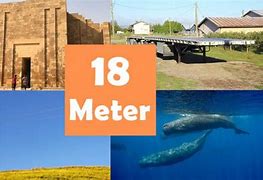 Image result for How Long Is 18 Meters