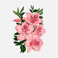 Image result for How to Drawing Flower On Phones Easy