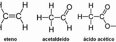 Image result for acetoao