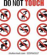 Image result for Don't Touch Animals