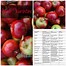 Image result for Apple Variety List