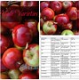 Image result for Delicious Cinnamon Baked Apples
