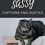 Image result for Feisty Sassy Quotes