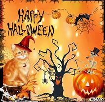 Image result for Orange Ginger Cat Witch Halloween Wallpaper