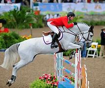 Image result for Horses Jumping High