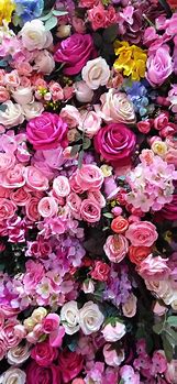 Image result for Floral Rose iPhone Wallpaper