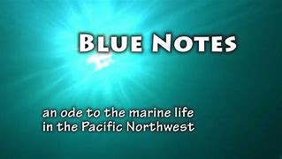Image result for Box 2 Blue Notes