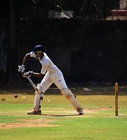 Image result for Cricket Field