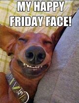 Image result for Happy Friday Puppy Meme