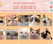 Image result for Cat Emote Meme
