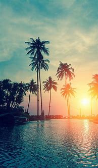 Image result for Mobile Phone Wallpaper Beach