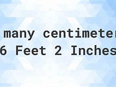 Image result for 6 Feet 2 Inches in Cm
