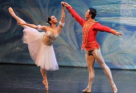 Image result for Russian Ballet