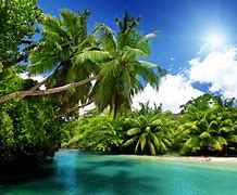 Image result for Paradise Beach Background