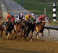Image result for Cute Racing Horse Wallpaper