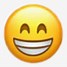 Image result for Big Smiling Emoji