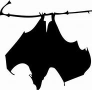 Image result for Hanging Bat Black Background