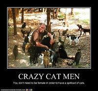 Image result for Crazy Cat Man Meme