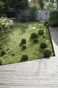 Image result for 100 Square Meters Garden Design