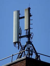 Image result for Cell Tower Disguise