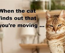 Image result for New House MEME Funny