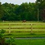 Image result for Horse Boarding & Training