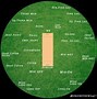 Image result for World Cricket