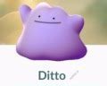 Image result for Shiny Ditto Pokemon Go