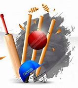 Image result for Cricket Bowler Icon