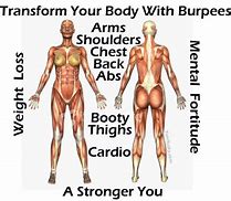 Image result for Burpees Target Muscles