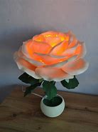 Image result for RGB Light Rose