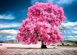 Image result for Free to Use Landscape Background