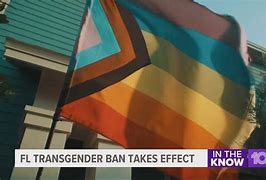 Image result for Florida sued over ban on gender-affirming care