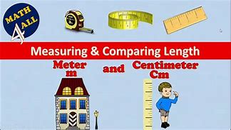 Image result for Things Measured in Centimeters or Meters