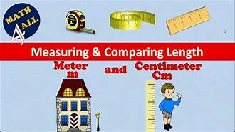 Image result for Things Commonly Measured in Centimeters