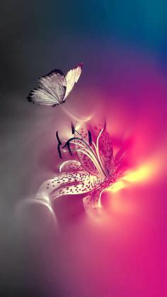 Midnight Purple Butterfly Wallpapers - Top Free Midnight Purple ...