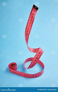 Image result for What Is Centimeter
