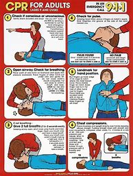 Image result for CPR Steps for Adults