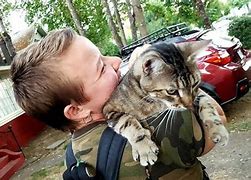 Image result for Cat Hug Hearts