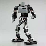 Image result for Walking Humanoid Robot