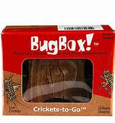 Image result for Live Crickets for Sale