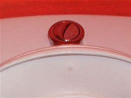 Image result for Antique Brass Toilet Flush Button