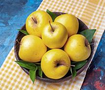 Image result for Yellow Newtown Pippin Apples