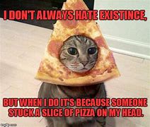 Image result for Did Someone Say Pizza Cat Meme