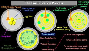 Image result for Emulsion Diagram