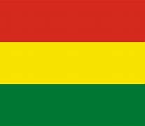 Image result for Flag Green Yellow Red Vertical Stripes