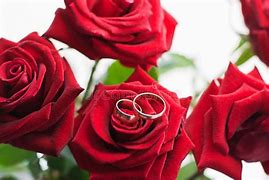 Image result for Red Roses and Wedding Rings